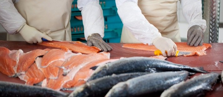 Fish industry | Christeyns (Qlean-tec BV)